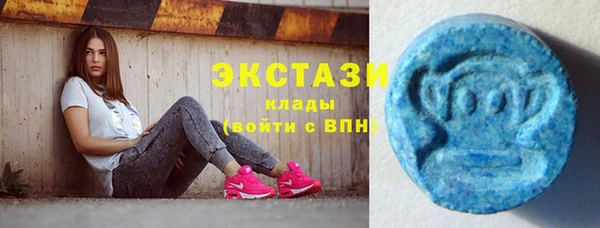 крисы Богородицк