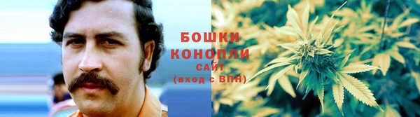прущая мука Богданович