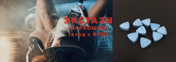 крисы Богородицк