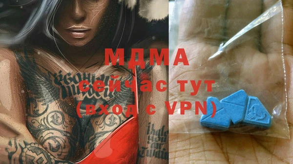 крисы Богородицк