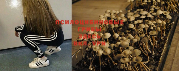 прущая мука Богданович