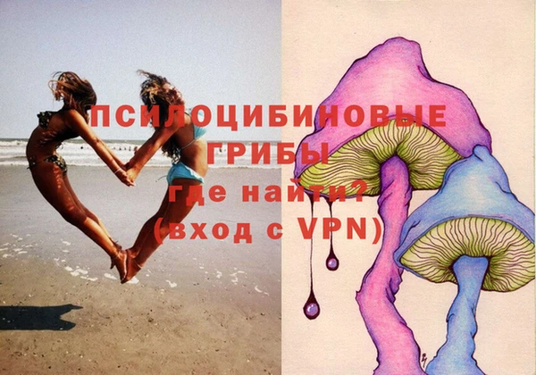 крисы Богородицк