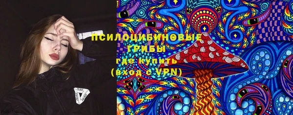 крисы Богородицк