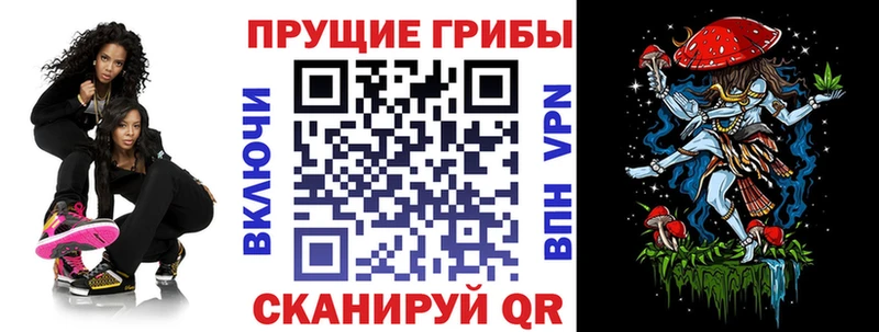 Галлюциногенные грибы Psilocybe  Новочебоксарск 